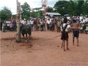 Bóng đá anh, ngoại hạng anh, lịch thi đấu euro 2012, Ariêu Ping - Lễ hội văn hóa độc đáo của Pa Cô